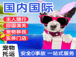 安阳红旗渠航空邮寄国际宠物托运 【国